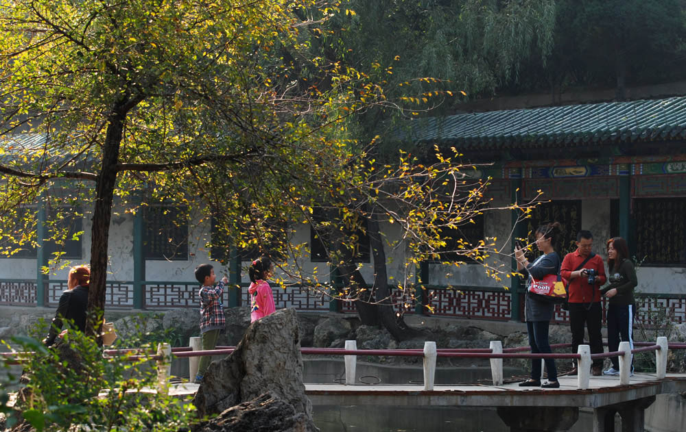 DSC_0795 ����.jpg