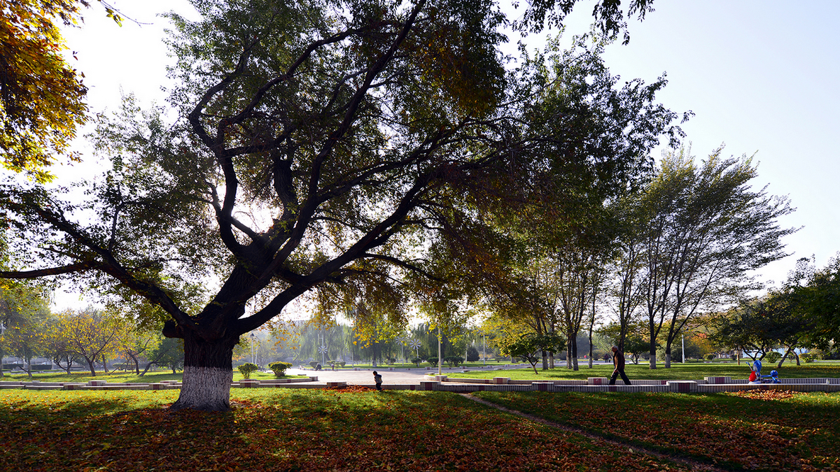 ʯ�����й���(����)��ɫ (1).JPG