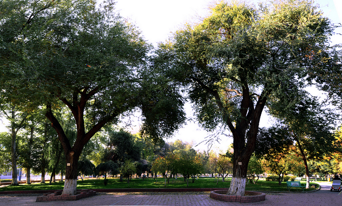 ʯ�����й���(����)��ɫ (9).JPG