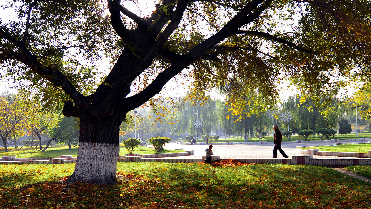 ʯ�����й���(����)��ɫ (2).JPG