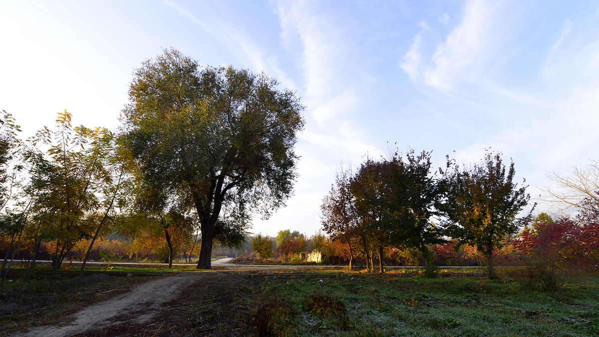 ʯ�����й���(����)��ɫ (6).JPG