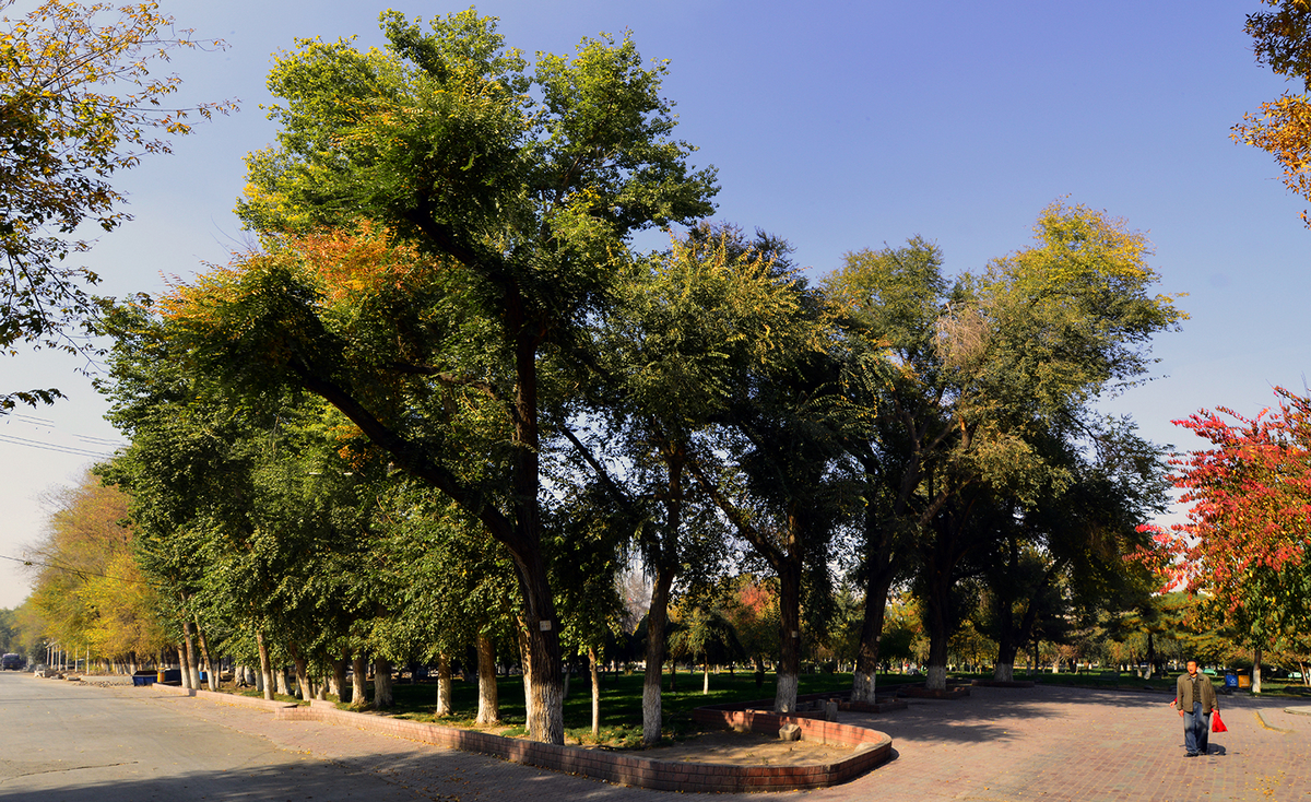 ʯ�����й���(����)��ɫ (10).JPG