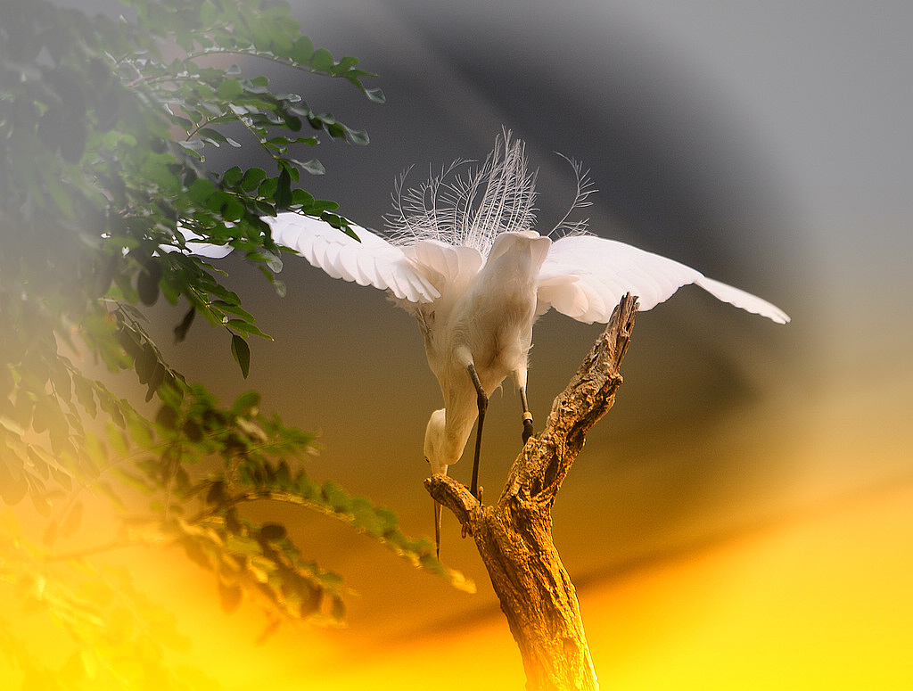 ���� 197k.jpg