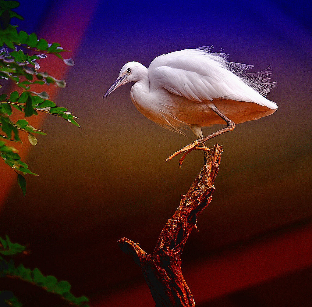 ���� 244s.jpg