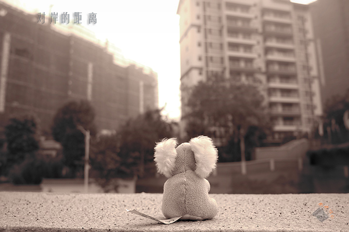 �԰��ľ���