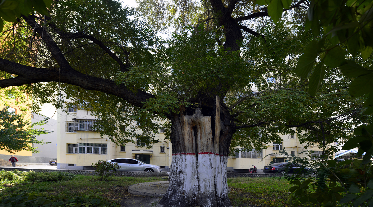 ������������ (1).jpg