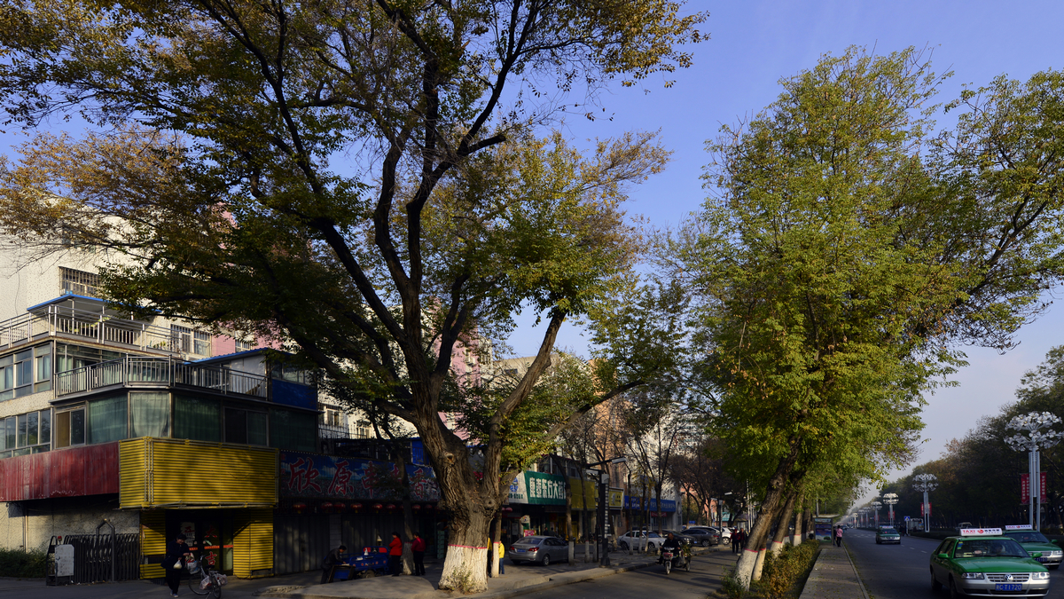 ������������ (2).jpg