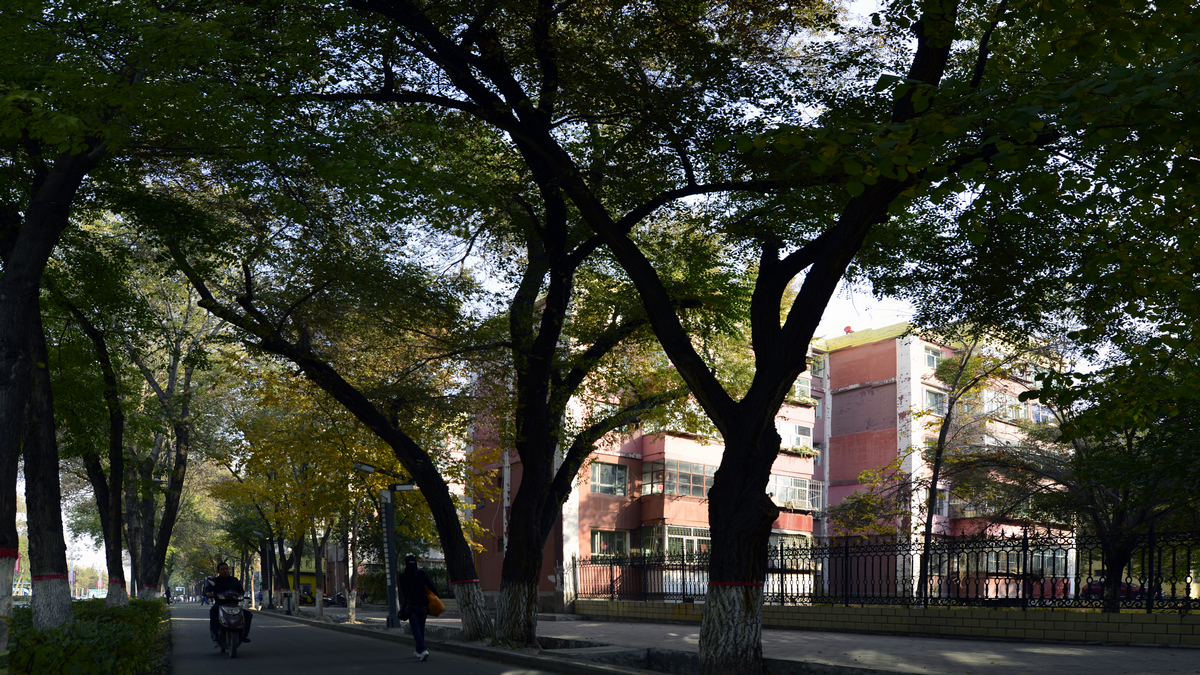 ������������ (3).jpg