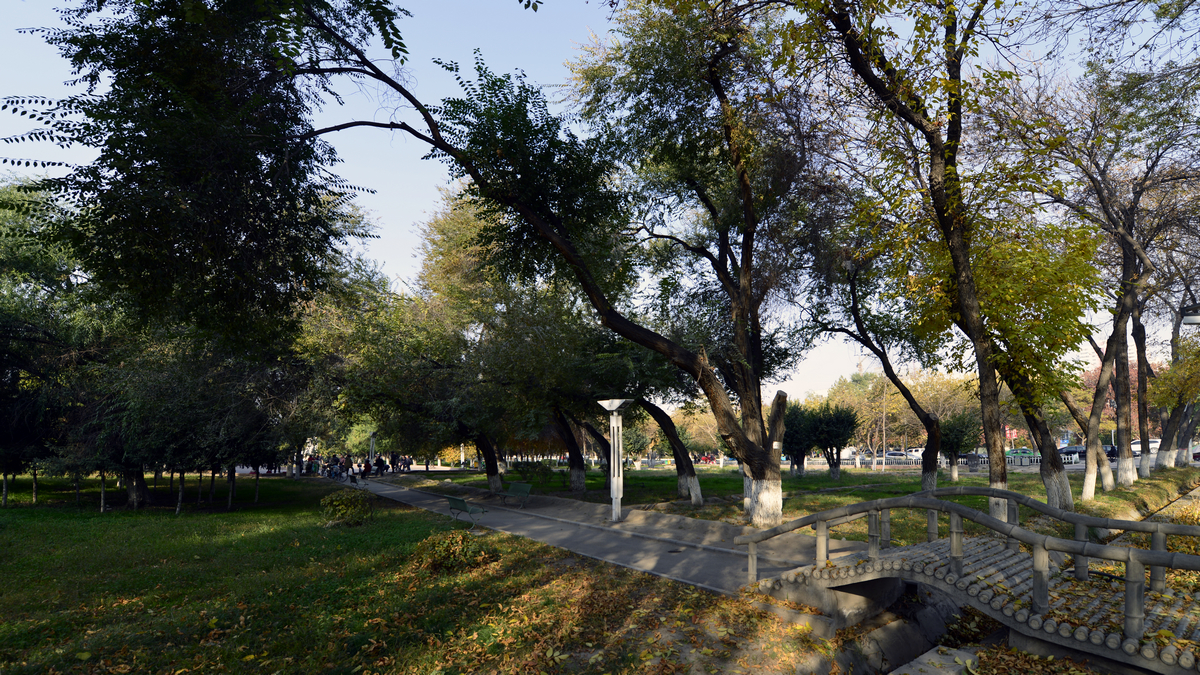 ������������ (4).jpg