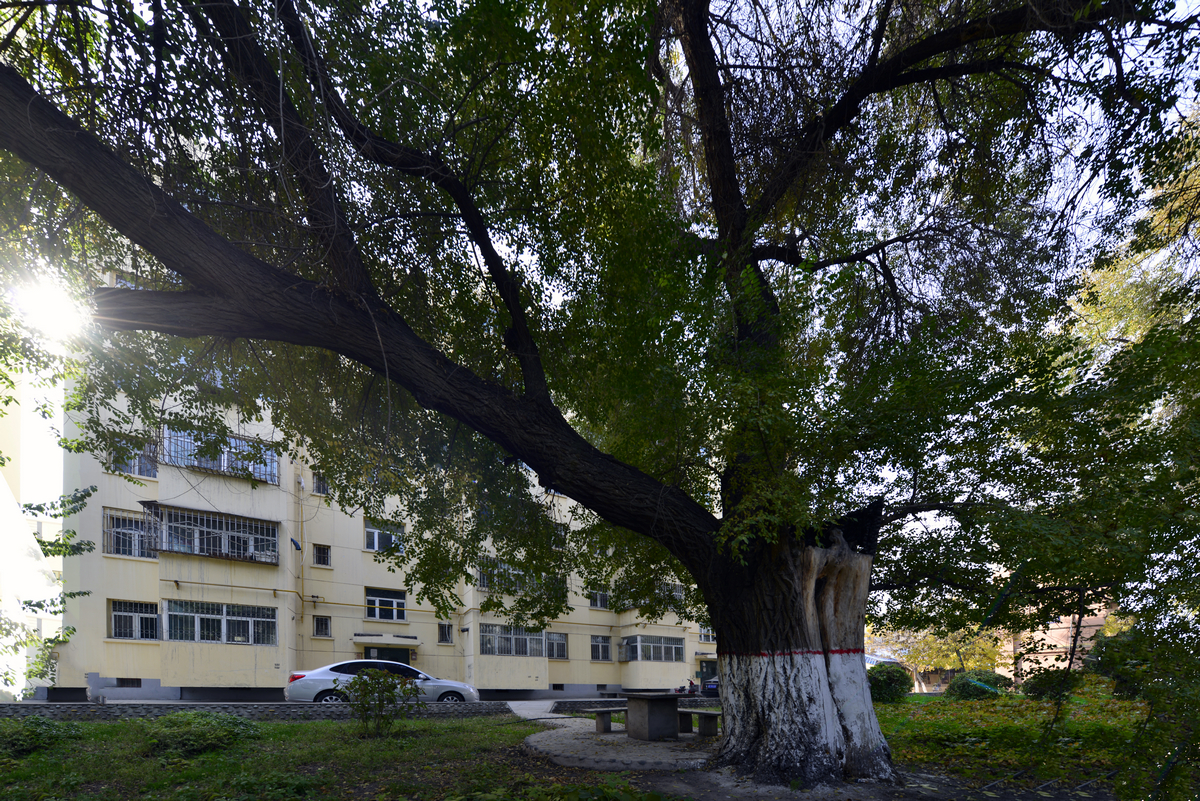 ������������ (6).jpg