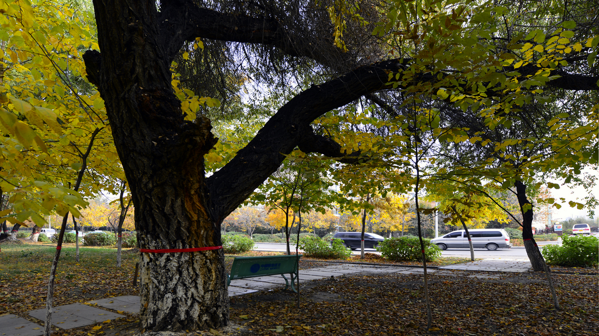 ������������ (7).jpg