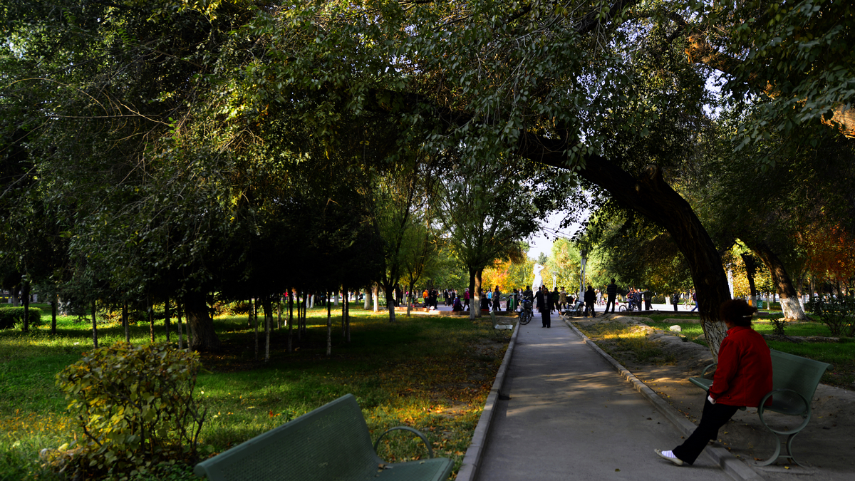 ������������ (9).jpg