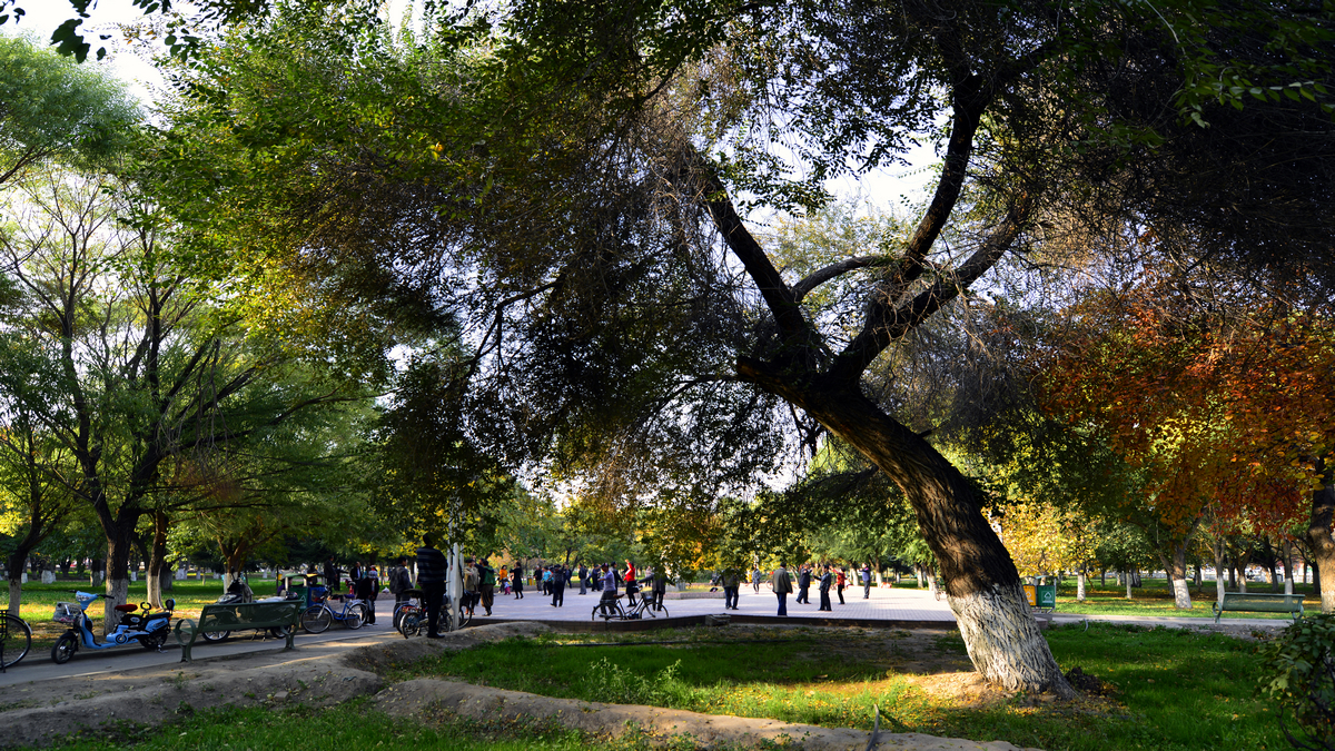 ������������ (10).jpg