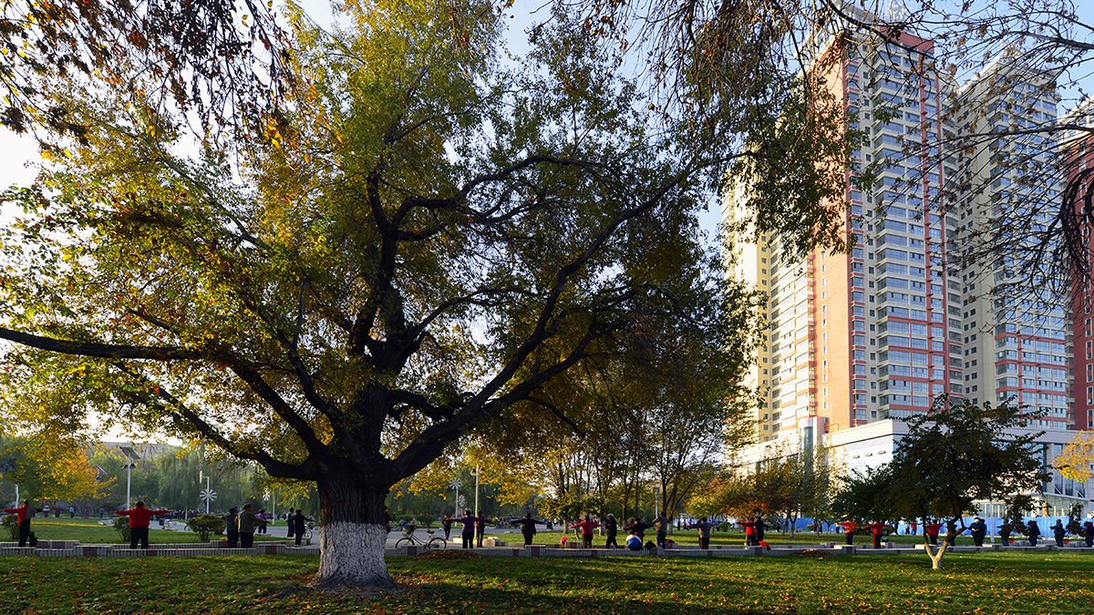 ���� (2).jpg