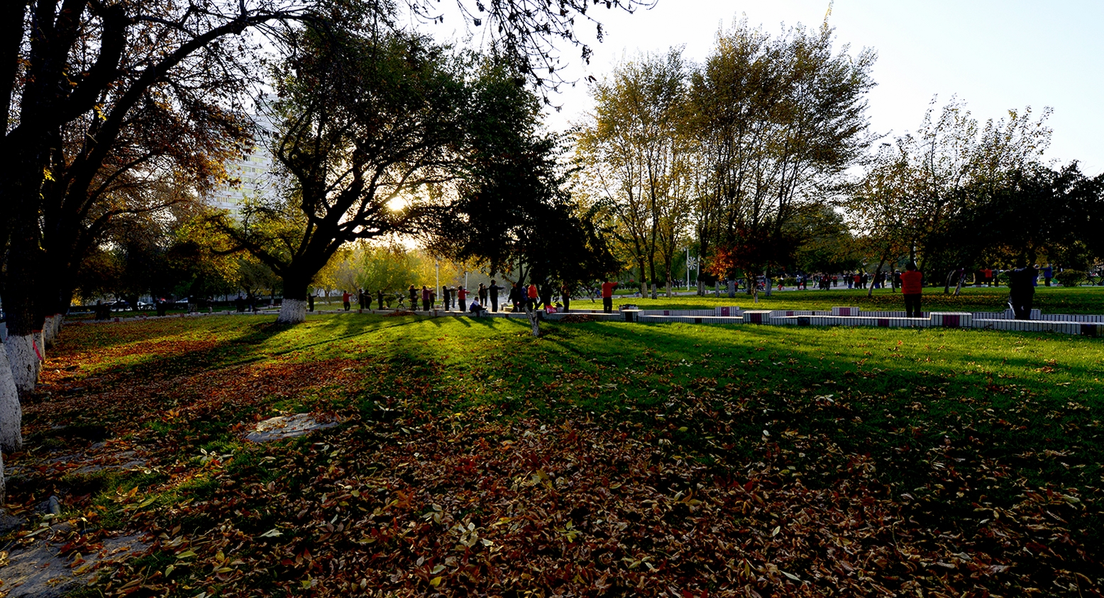 ���� (8).jpg