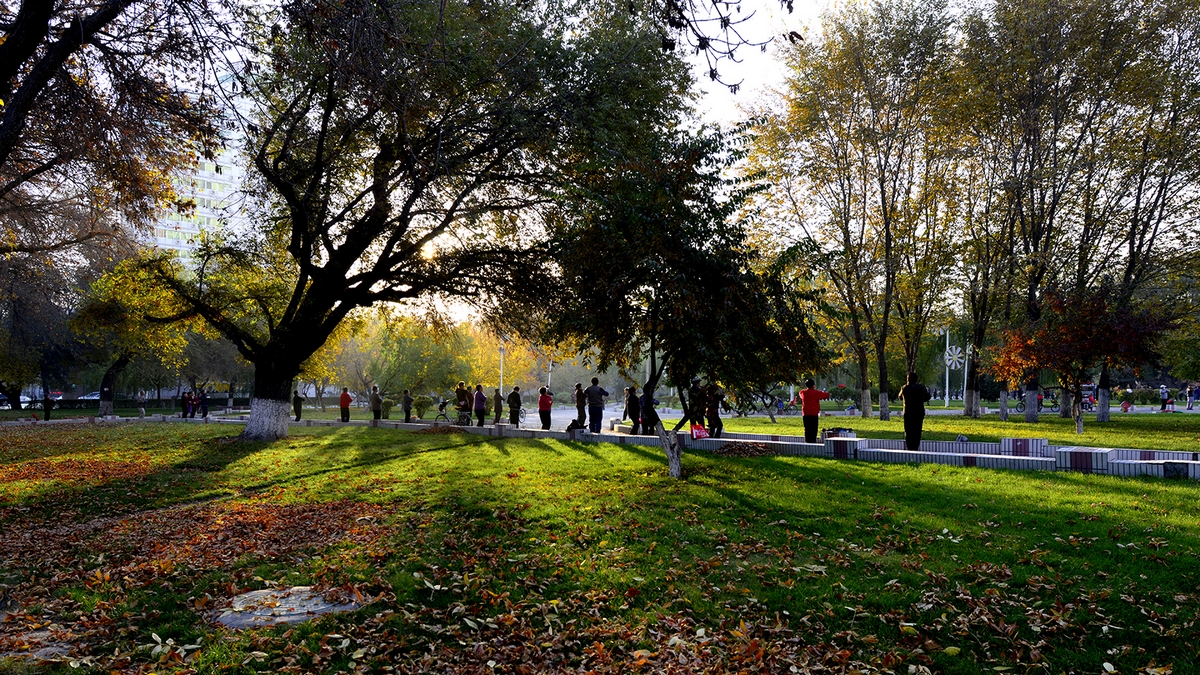 ���� (7).jpg