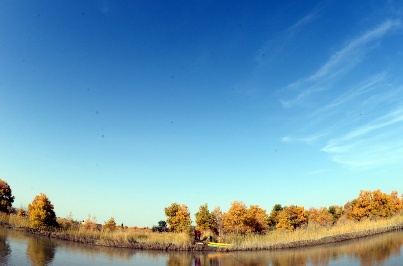 ���Ӱ�����