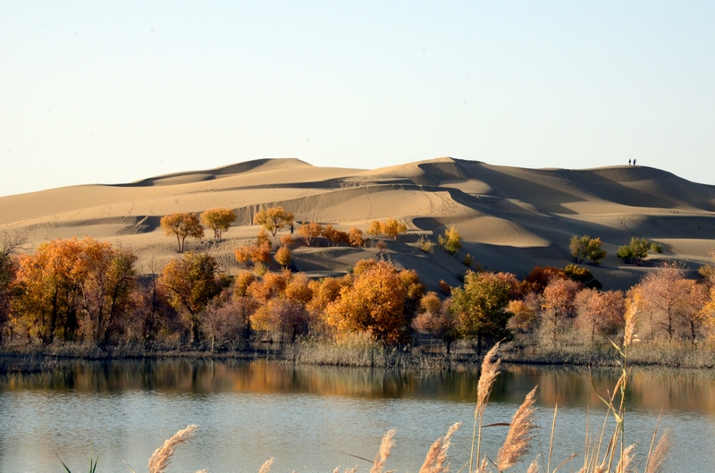 ��������1