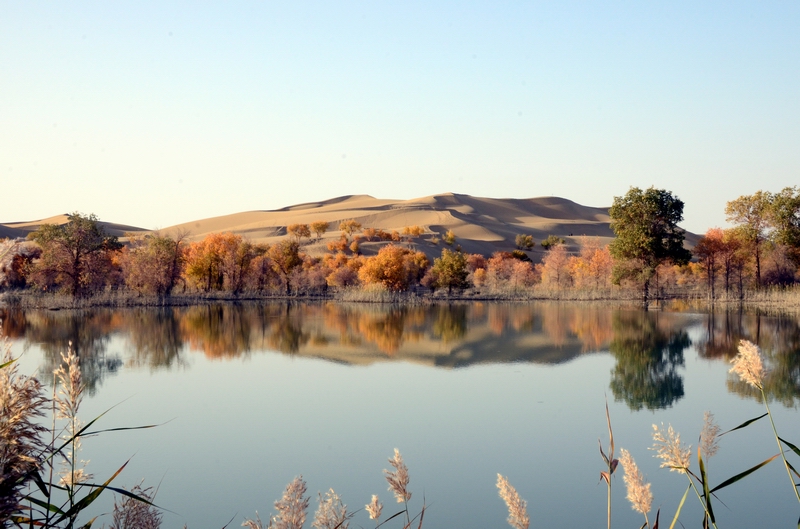 ��������3