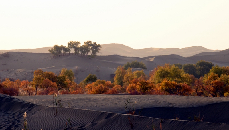 ����       ������.jpg