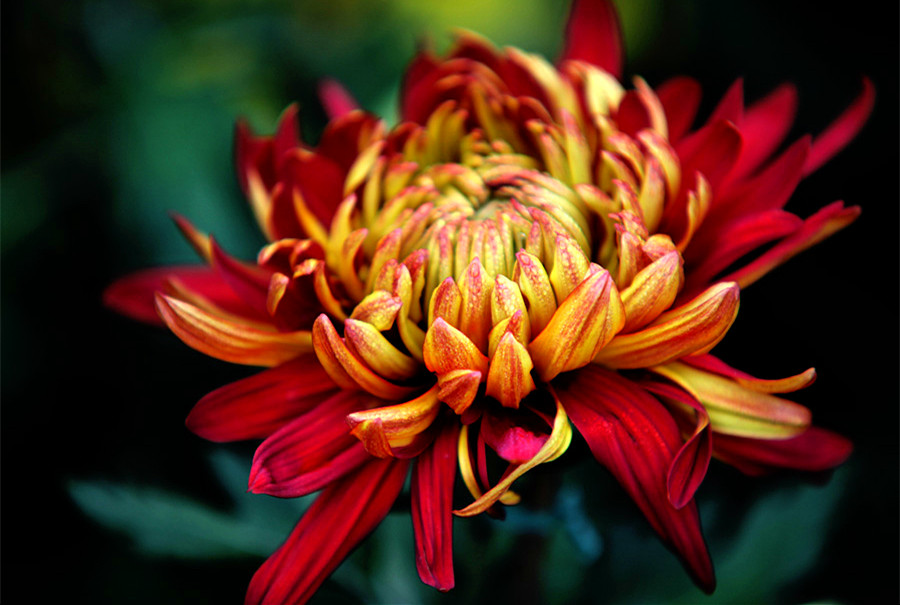 �ջ���Ƭ (2)_����.jpg