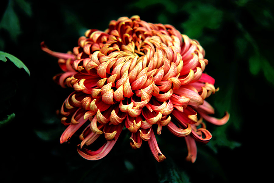 �ջ���Ƭ (3)_����.jpg