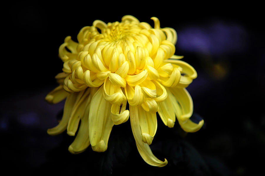 �ջ���Ƭ (4)_����.jpg