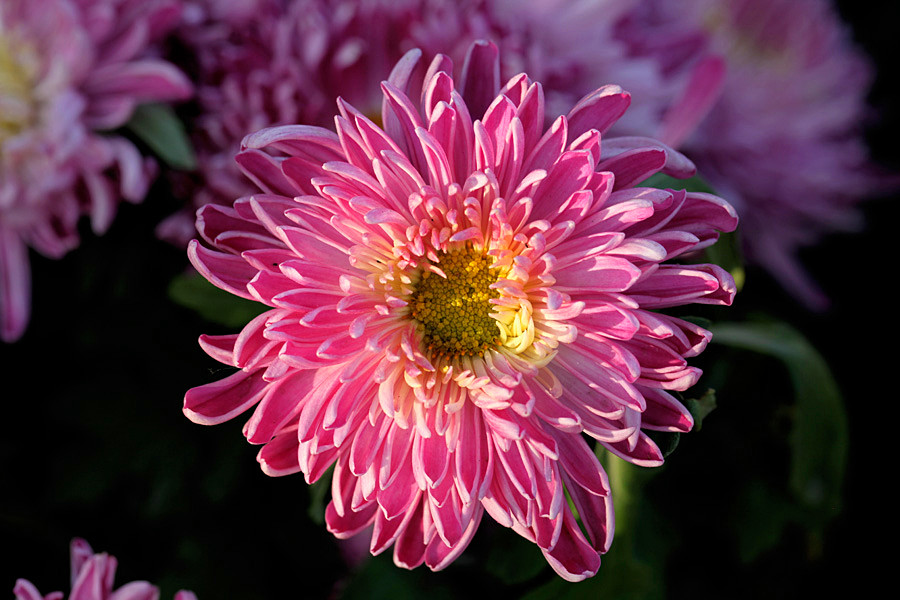 �ջ���Ƭ (6)_����.jpg