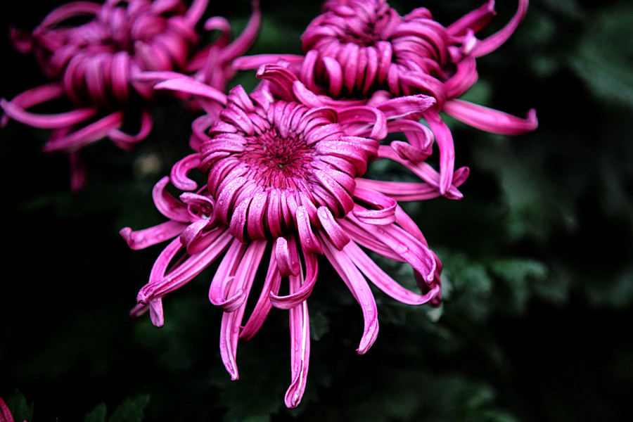 �ջ���Ƭ (15)_����.jpg