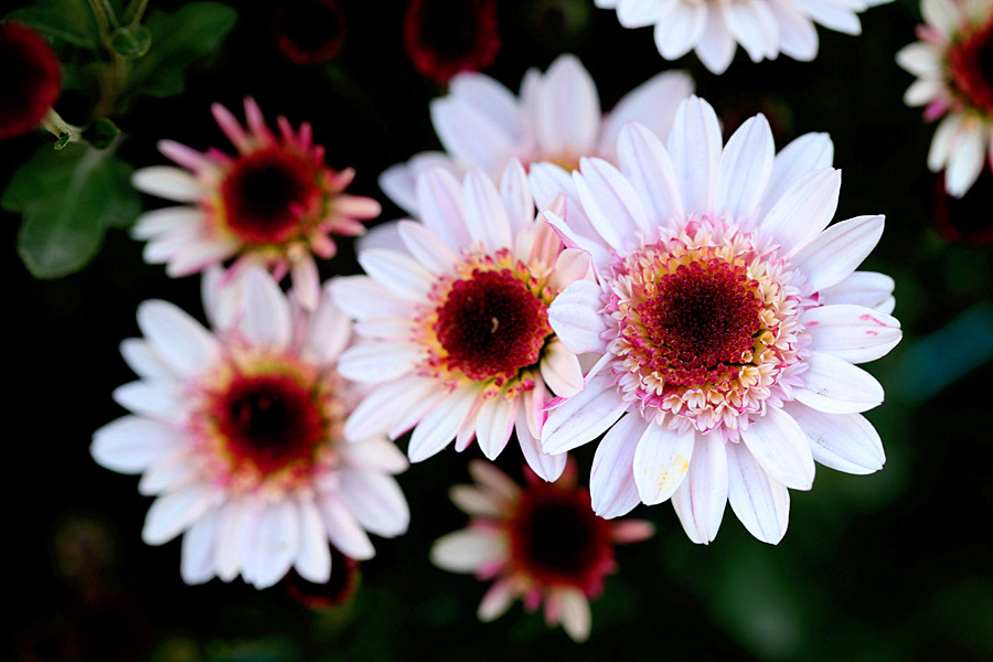 �ջ���Ƭ (14)_����.jpg