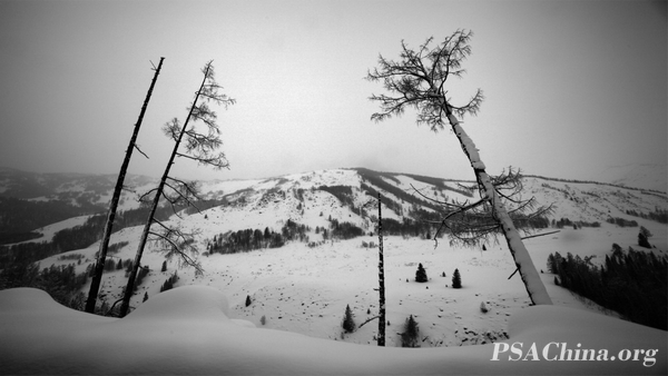 06�������Ʒ������ѩ1��Quiet snow1.jpg