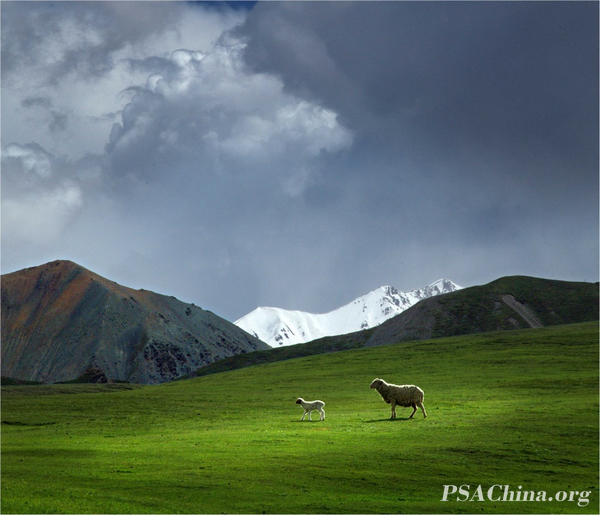 02.������ϯ������������Ʒ���ؼҡ�Go Home.jpg