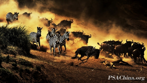 10.��������Ʒ����һ·��ǰ��All the way forward.jpg