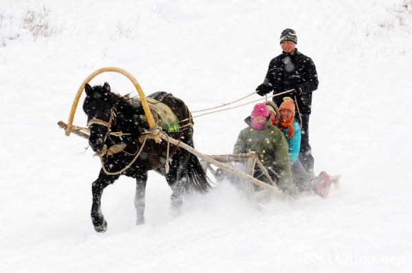 05.��Ծ��Ʒ�����ڿ�����Black Stallion.jpg