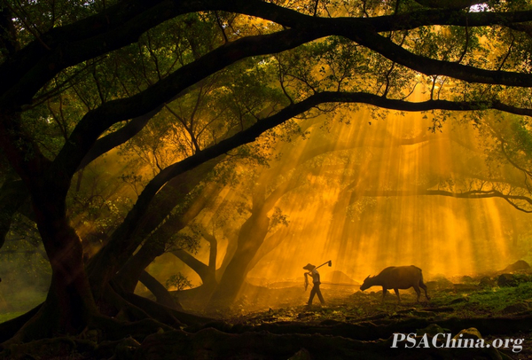 03.������������FSS練�����Ʒ����������Chen Mu.jpg