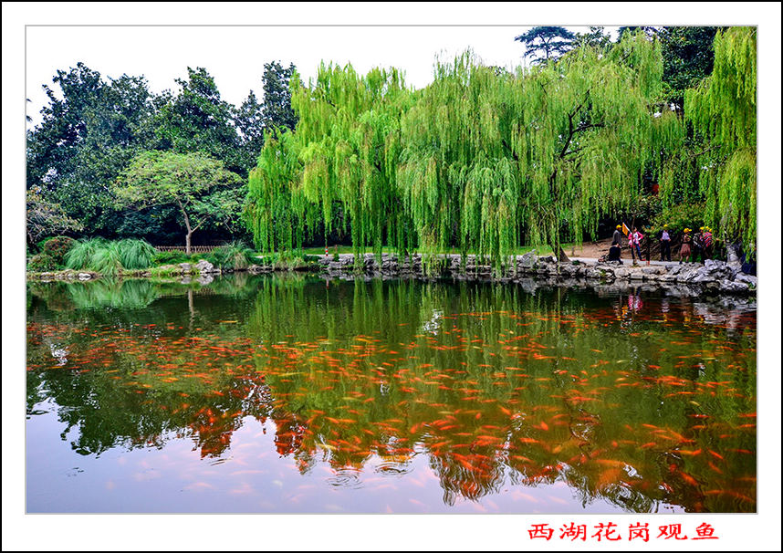 2013��10��18�պ����л��ڹ�����Ƭ 1252.jpg