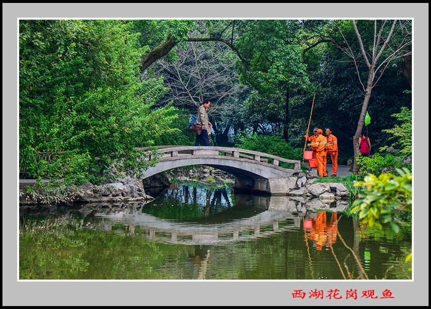 2013��10��18�պ�����������Ƭ 01825.jpg