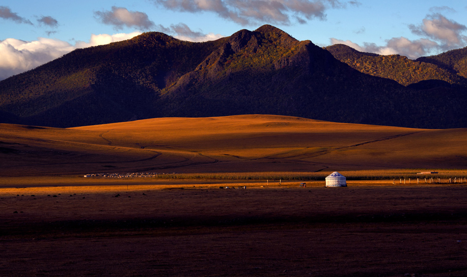 ��ɫ������