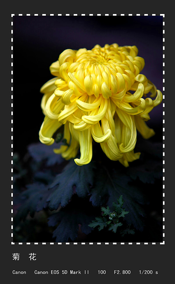 �ջ� (1)_����.jpg