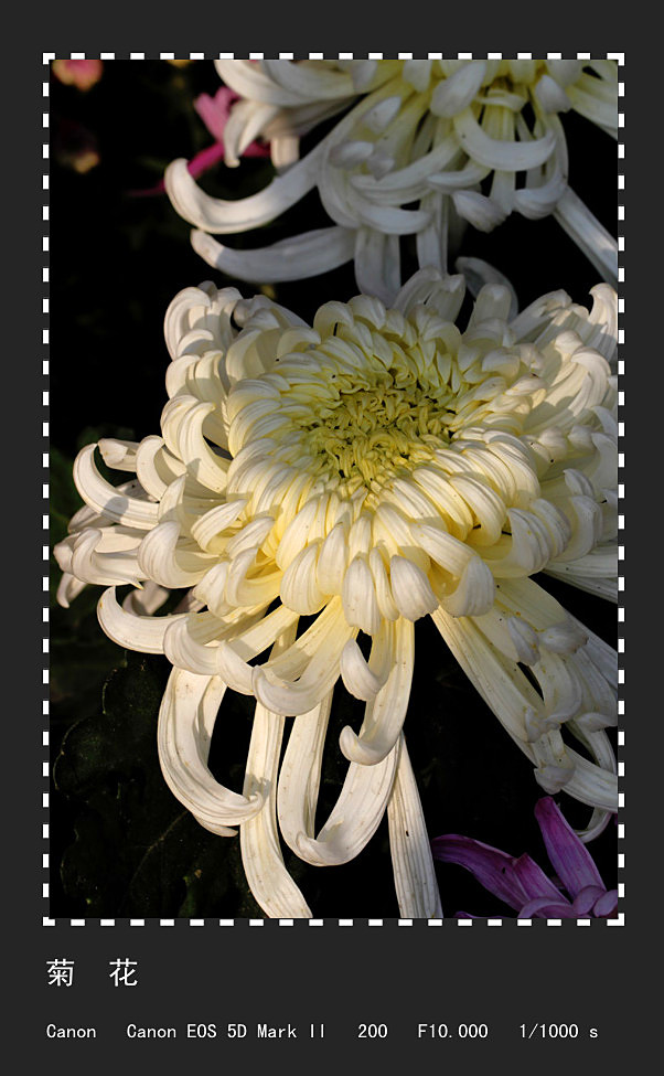 �ջ� (4)_����.jpg