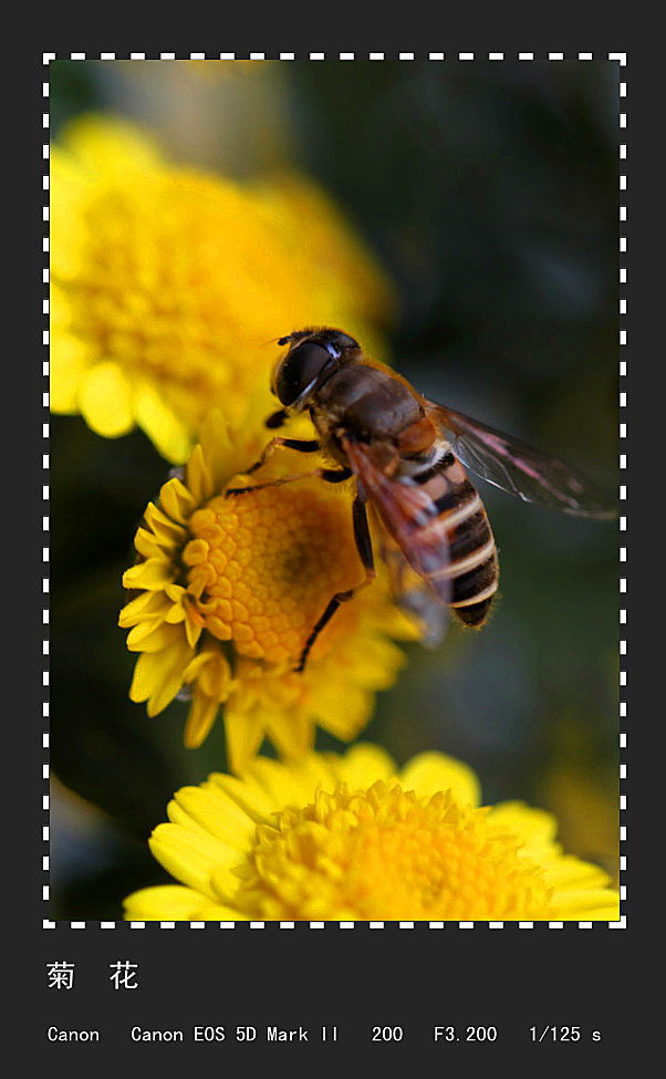 �ջ� (6)_����.jpg