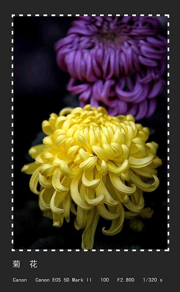 �ջ� (5)_����.jpg