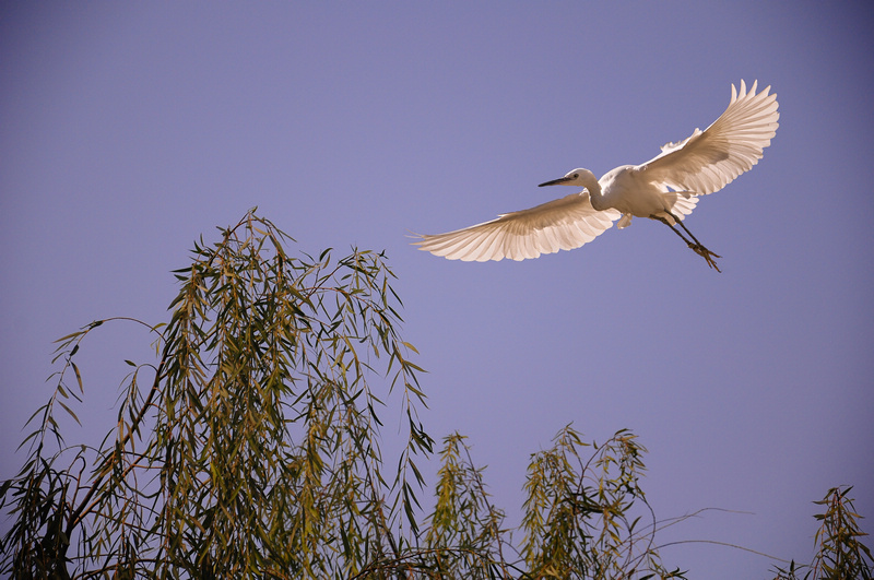 ���� 014Сͼ.jpg