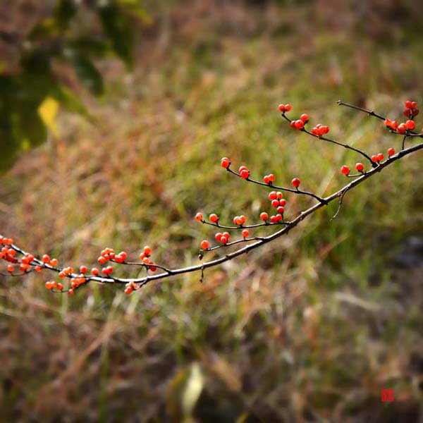 ��Ƭ 076��������.jpg