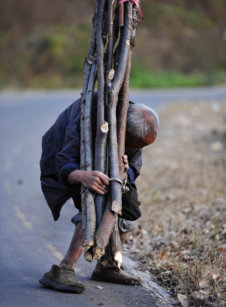 �῵D3X��2013��11��6�ա������� 383.jpg