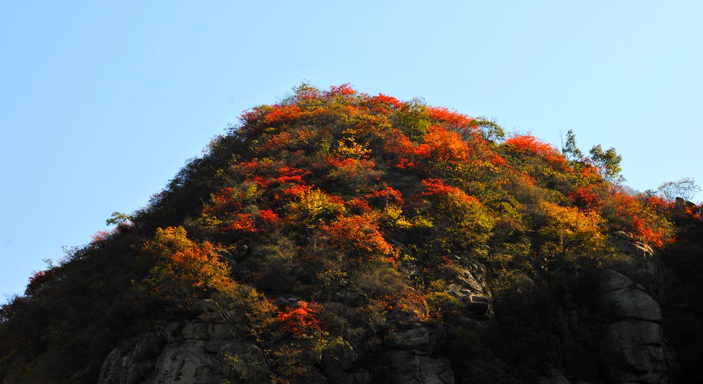 �῵D3X��2013��11��6�ա������� 166.jpg