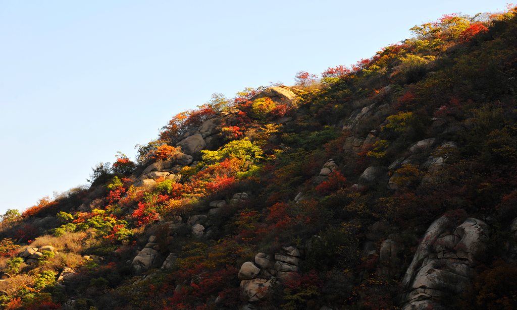 �῵D3X��2013��11��6�ա������� 167.jpg