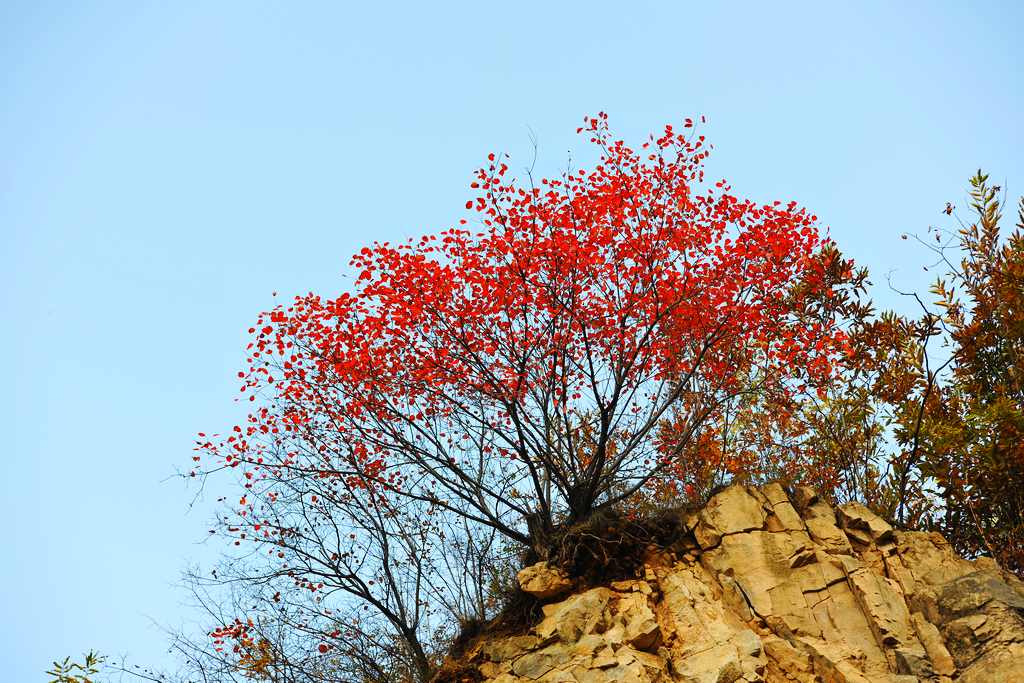 �῵D3X��2013��11��6�ա������� 367.jpg