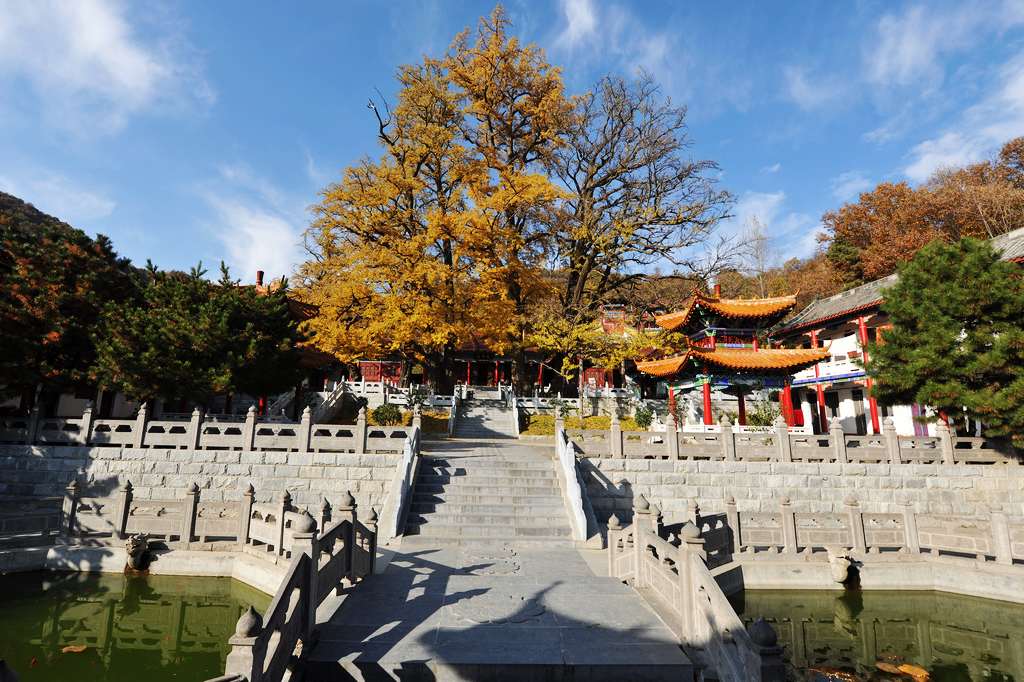 �῵D3X��2013��11��6�ա������� 297.jpg