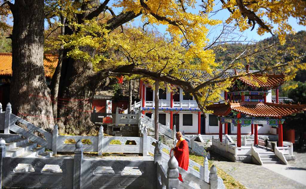 �῵D3X��2013��11��6�ա������� 254.jpg